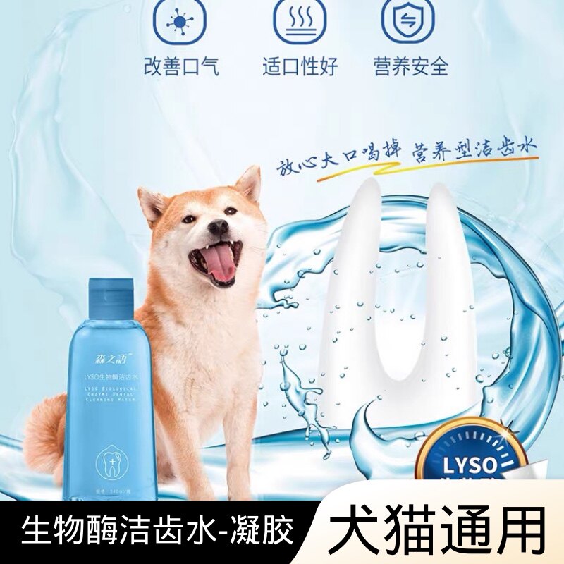 可鲁清新口气洁齿猫咪