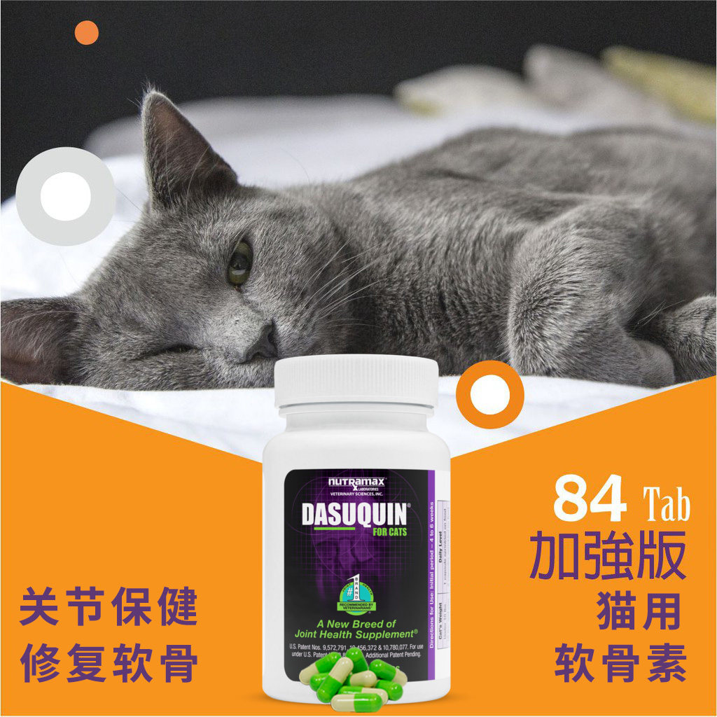 美国原装进口关节软骨素DASUQUIN