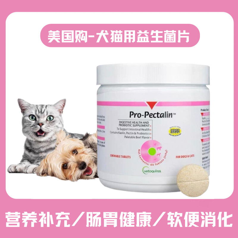 美国原装犬猫通用益生菌咀嚼片狗