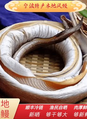 舟山东海本地鳗鱼风鳗筒清蒸微咸