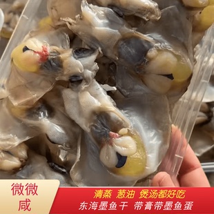 宁波舟山新鲜墨鱼宝东海目鱼仔带膏带蛋乌贼门子微咸野生墨鱼半干
