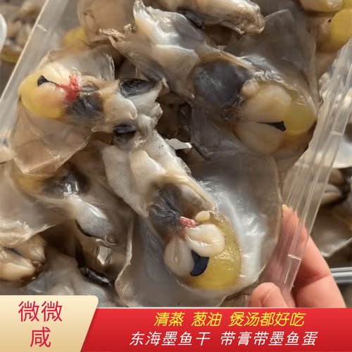 宁波舟山野生墨鱼宝半干带膏带蛋