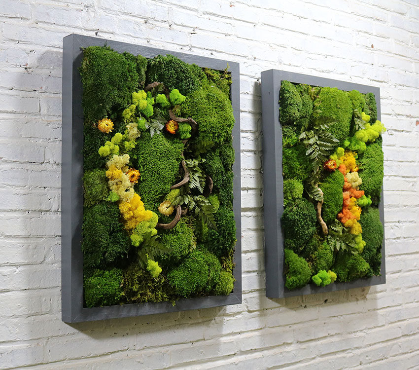绿植墙面装饰永生苔藓壁挂立体背景墙餐厅酒吧田园壁饰软装工艺品