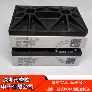 全新SKIIP31NAB12T11 SKIIP31NAB12T49 SKIIP31NAB12T18