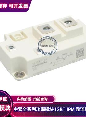 SKM400GA124D SKM300GA123D 质量保证SKM600GA176D SKM400GA173D