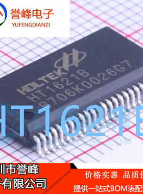 正品原装HT1621B LCD驱动器 HT1621 SSOP-48 欢迎下单 现货