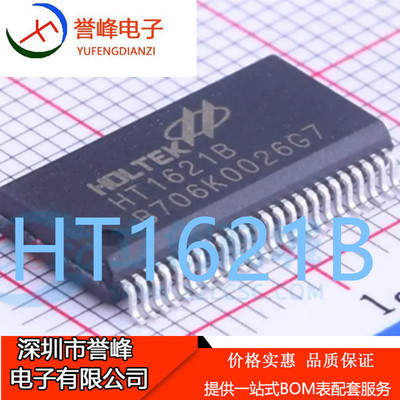 正品原装HT1621B LCD驱动器 HT1621 SSOP-48 欢迎下单 现货