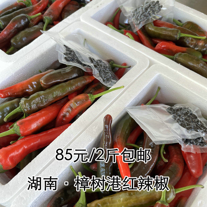 湖南红辣椒 樟树港红辣椒 新鲜小辣椒 又香又辣薄皮椒 炒肉 剁辣