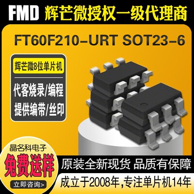 FT60F210-URT辉芒微FMD国产单片机纯IO型断电记忆芯片送样品