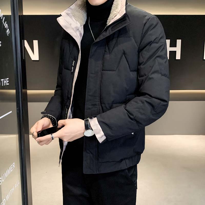 主推大货立领棉衣冬季青年休闲纯色棉服外套MY8608-P100,男装棉衣,星座310B-3