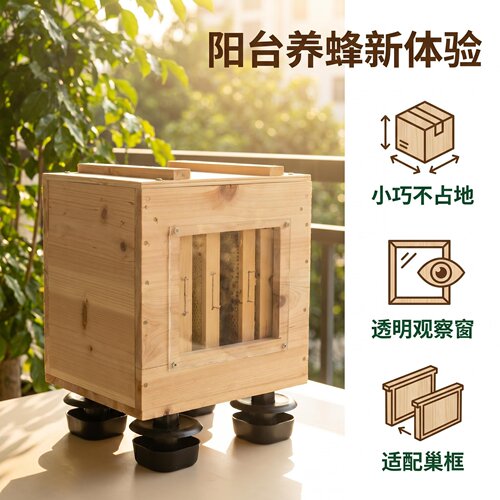 中华蜜蜂带王带箱直养阳台