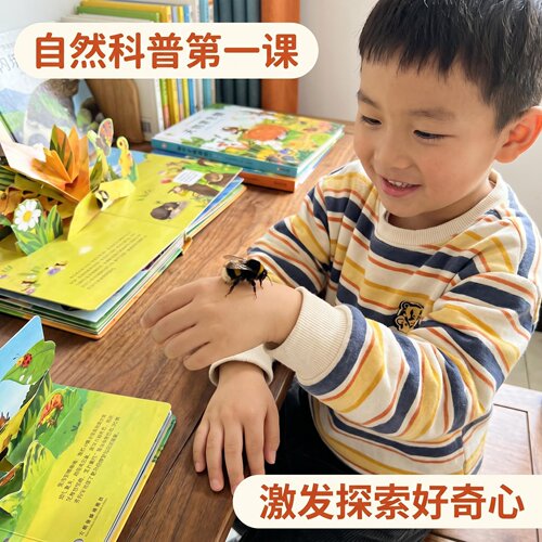 无刺熊蜂可上手不蜇人萌宠异宠