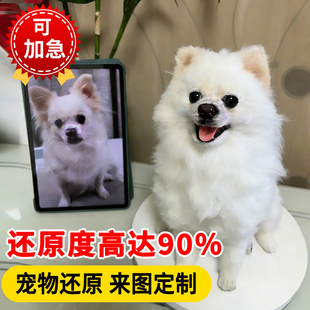 羊毛毡仿真宠物定制纪念离去世玩偶戳戳乐相框礼物猫咪狗狗成品