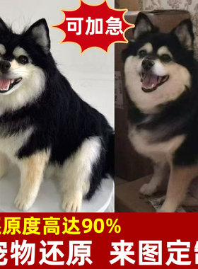 还原度高达90%高仿真定制