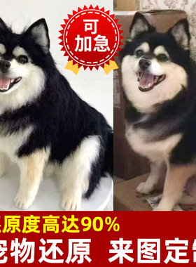 还原度高达90%高仿真定制
