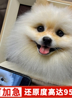 还原度高达95%高仿真定制