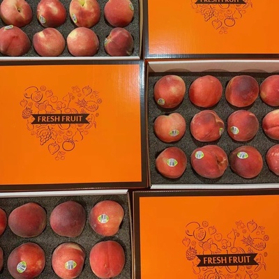 二天发货澳洲水蜜桃礼盒水果软桃子澳大利亚12个