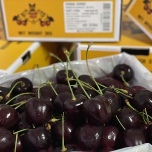 三天发货澳洲车厘子蝙蝠科迪亚小黑盒水果礼盒樱桃新西兰kordia