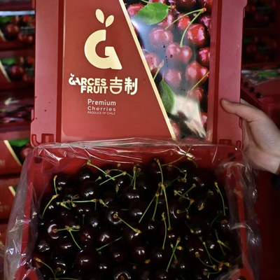 二天发智利车厘子黑车水果礼盒智利樱桃顺丰包邮