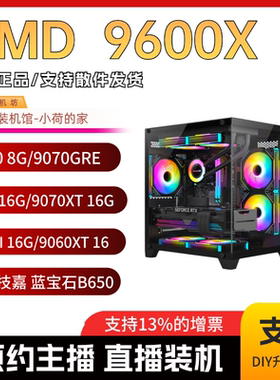 春节保价 小荷小慧9600X/B650M/5060TI/9060XT/9070/5070海景房