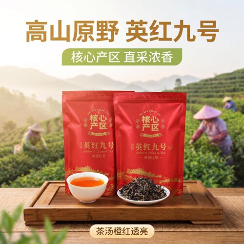 英德红茶一线500g袋装实惠口粮茶
