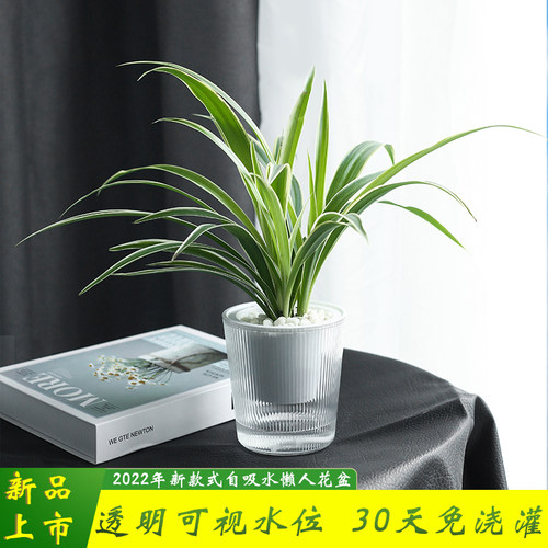 2022新款自吸水懒人透明客厅简约