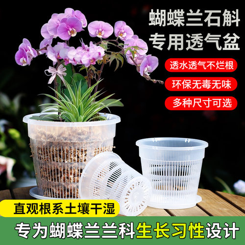 多尺寸可选透气不烂根养根控根