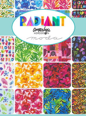 MODA 进口高档纯棉DIY手工拼布 Radiant 21840 布组