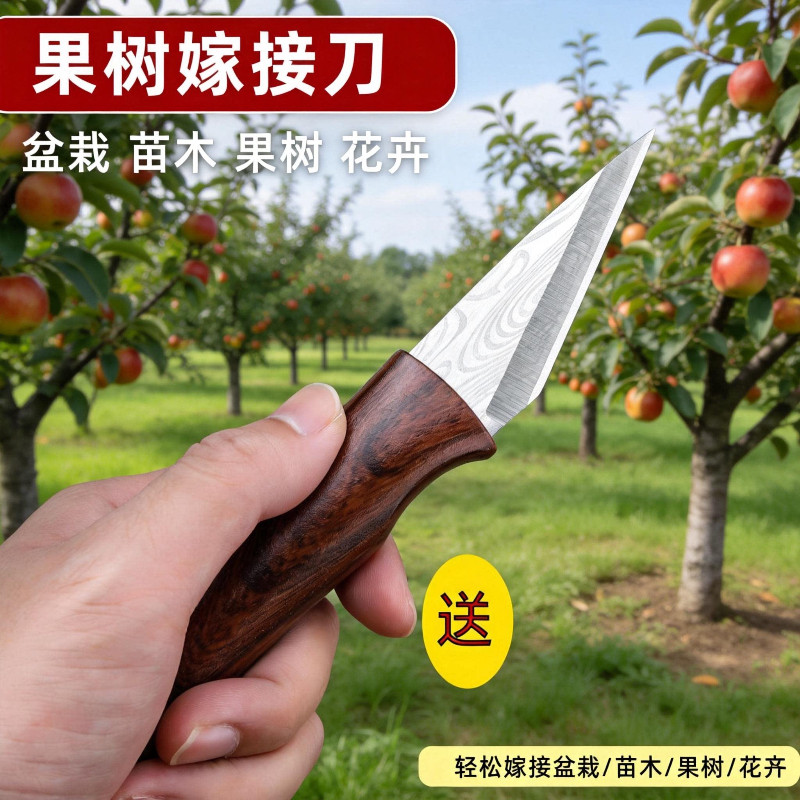 嫁接专用刀果树植物多肉砍头扦插嫁接神器进口手工嫁接芽刀膜工具