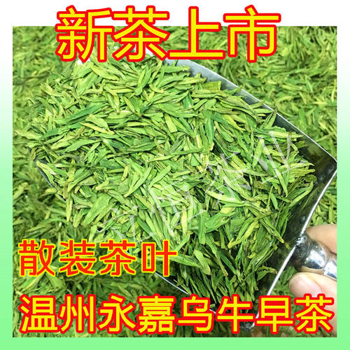 2026年新茶永嘉乌牛早茶明前茶