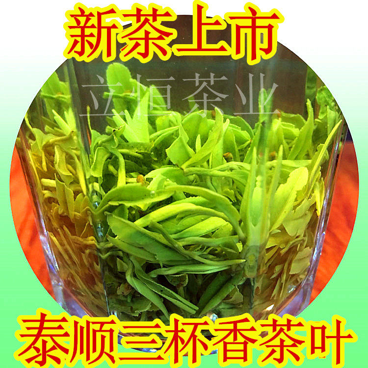 2026新茶温州绿茶泰顺三杯香茶叶早茶明前茶高山云雾香茶250g包邮