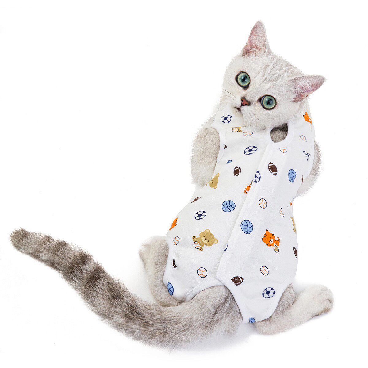 猫咪绝育服注意没现货