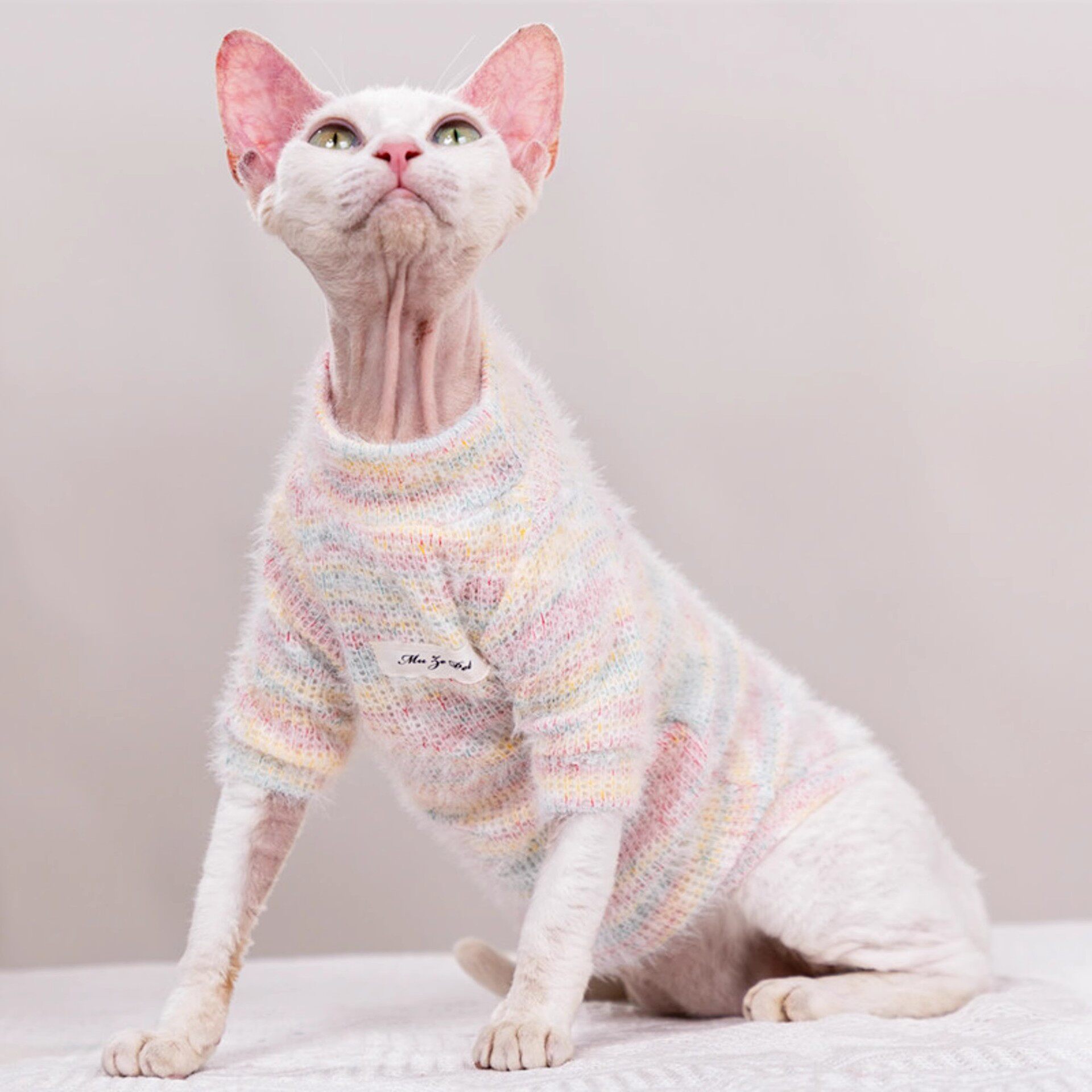 猫咪衣服冬天加绒保暖绒衣无毛猫银渐层布偶幼猫宠物防寒两脚毛衣