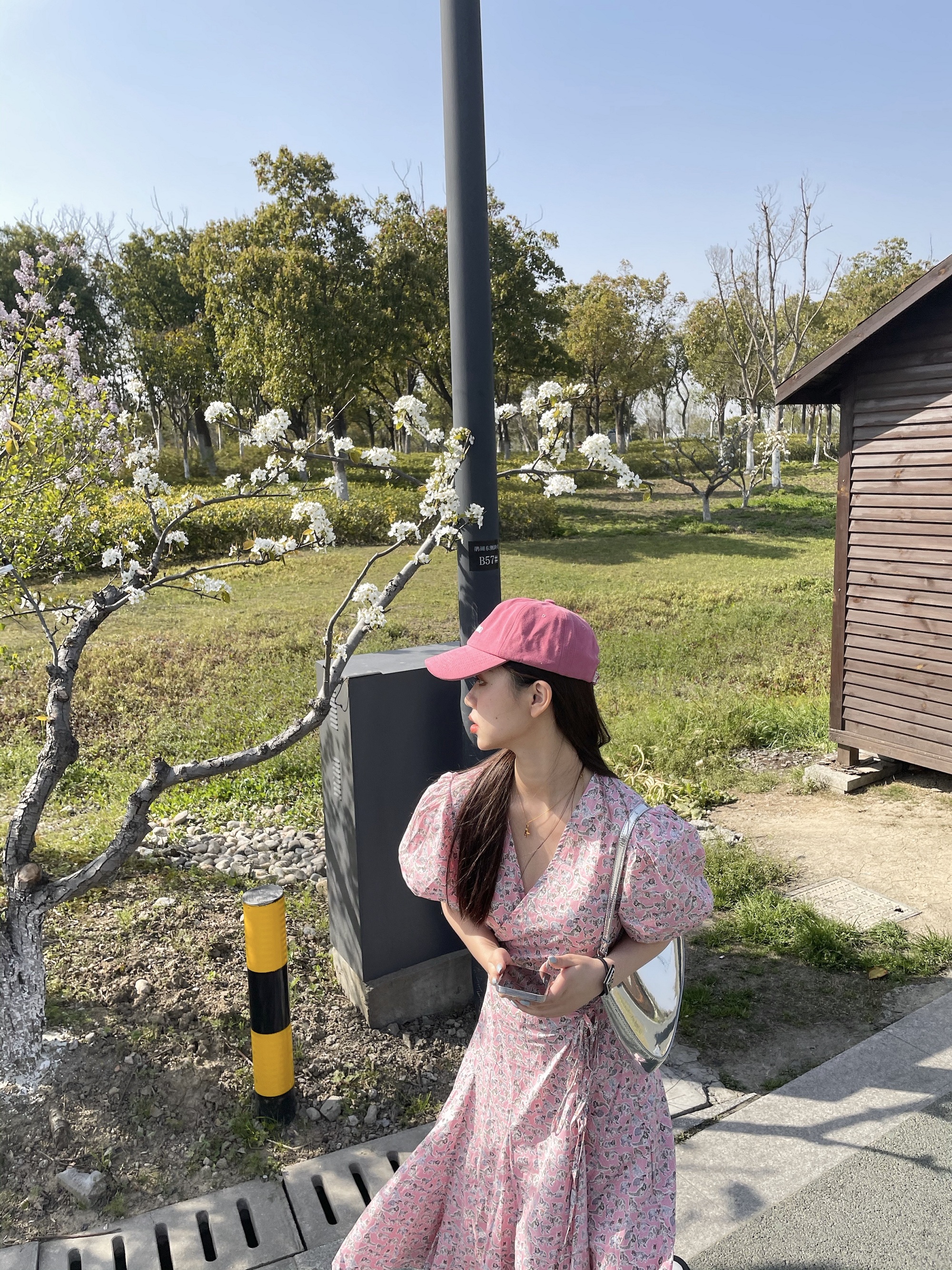 Romantic Cherry Blossom sweet girl V-neck bubble sleeve lace up dress