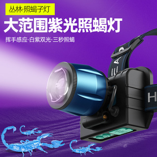 豆虫灯 感应紫光灯养蝎厂专用照蝎子头灯可充电紫白双光超亮头戴式