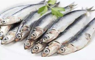 密云本地小公鱼 肉质鲜美 煎炸鲜香 现捕 500g