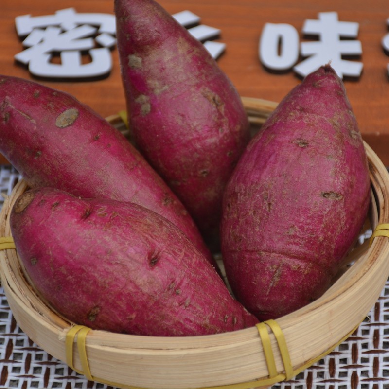 密云农家新鲜小紫薯 番薯地瓜山芋紫芋头新鲜现刨宝宝辅食 500克