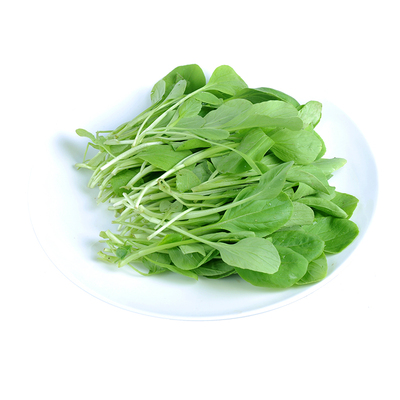 密云农家鸡毛菜小白菜小青菜油菜农家肥种植鲜嫩宝宝辅食现拔300g