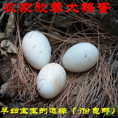 密云鹅蛋新鲜土鹅蛋孕妇正宗