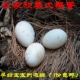 密云农家放养新鲜土鹅蛋 正宗河中觅食散养鹅蛋 孕妇适宜现捡6枚
