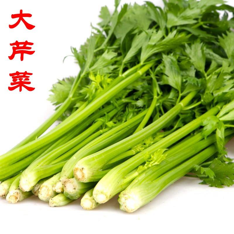 密云农家 新鲜大芹菜 绿色蔬菜 农家肥种植 芹菜 本地菜 500g