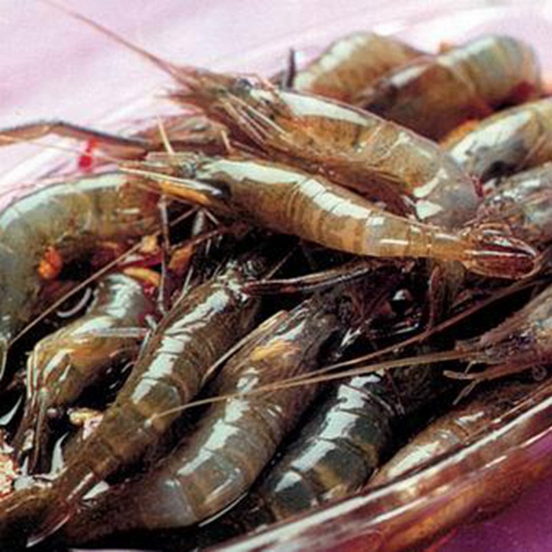 水库大河虾青虾新鲜虾仁净水河虾 宝宝辅食 提前订 250g