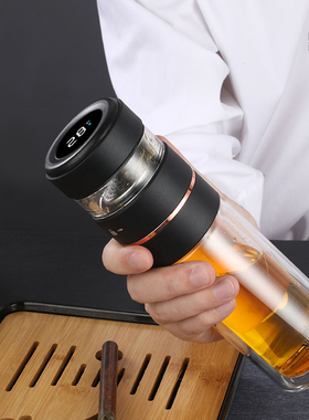 德国NIKOLAY双层茶水分离玻璃杯男士隔热防爆高硼硅便携车载办公