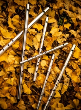 法斯望传统爱尔兰哨笛可调音专业