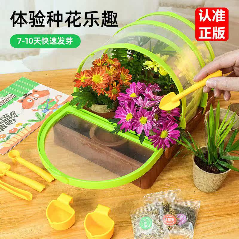 CALLPLAY盛放吧花房迷你种植玩具