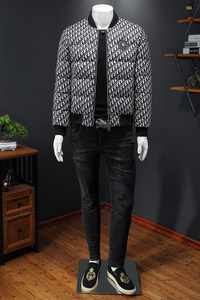90%白鸭绒新款男士立领羽绒服钱塘6016-F9181P280 假模图片