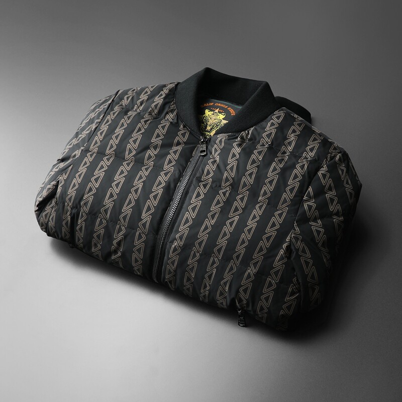 90%白鸭绒2024新款男士立领羽绒服钱塘6016-F9205P280平铺图片