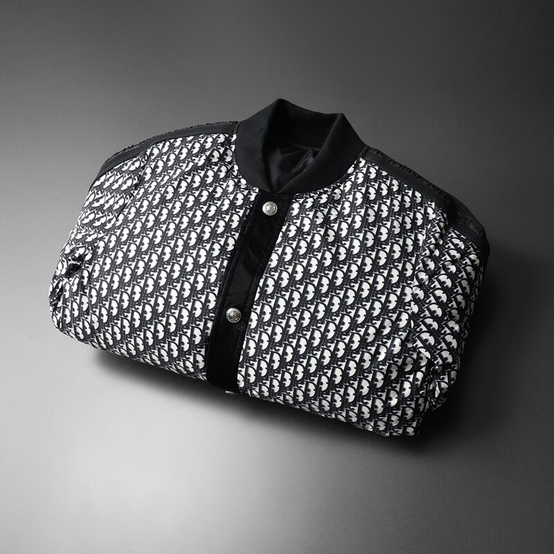 90%白鸭绒2024新款男士立领羽绒服钱塘6016-F9206P290 假模图片