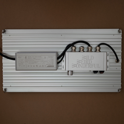 旗舰三星LM301H EVO Mint量子板月季热植龙舌兰全光谱植物补光灯