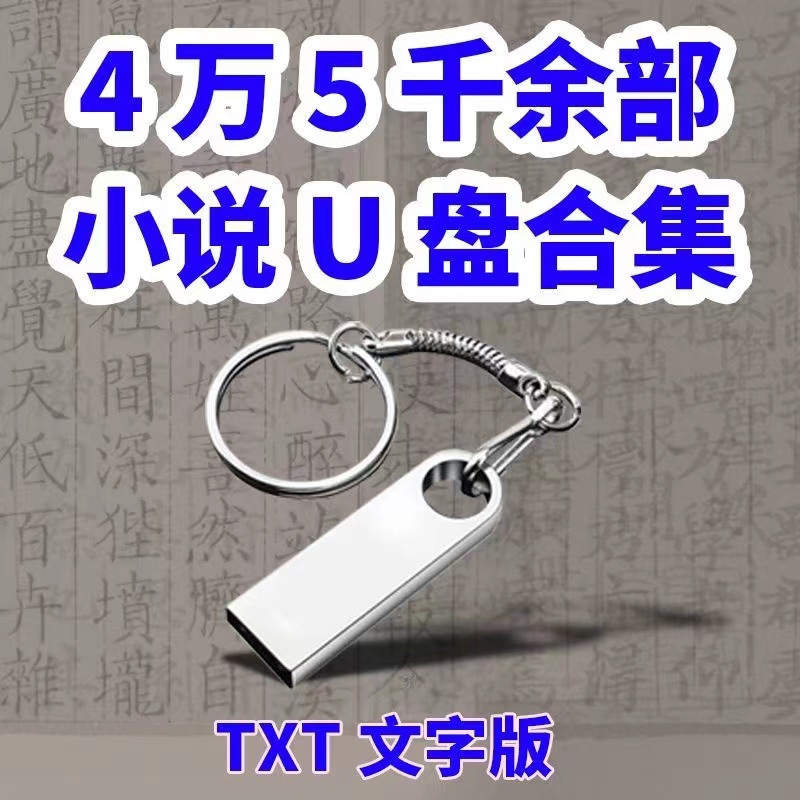 小说U盘TXT文本电子书